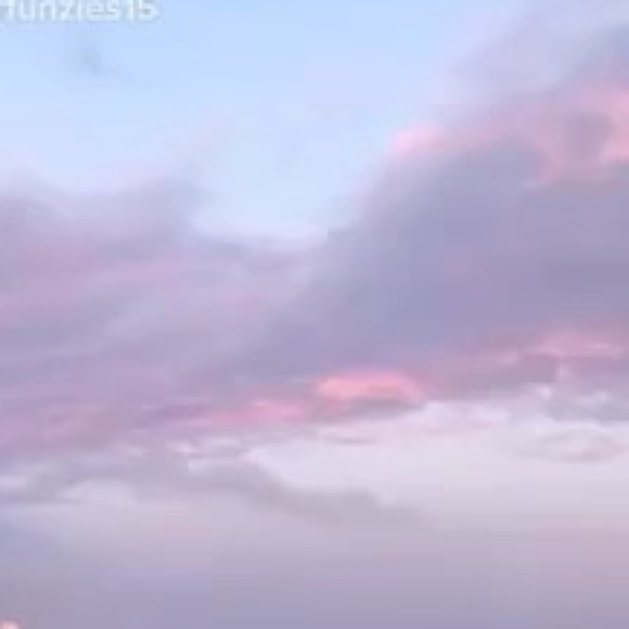 Meet your Posher, Anna - Picture 1 of 1